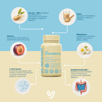 VIL DygesBiotic – Tratamiento Probiótico Avanzado para Salud Digestiva y Colon (60 Cápsulas Veganas)